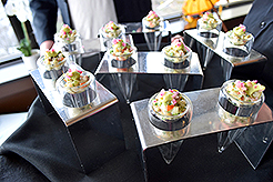 SUNSET SESSIONS AT THE SPACE NEEDLE